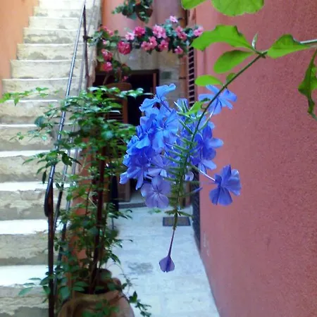 Il Cortile Fiorito Trapani