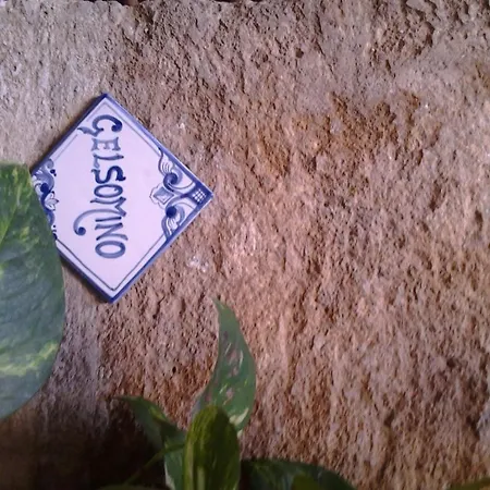 Appartamento Il Cortile Fiorito *