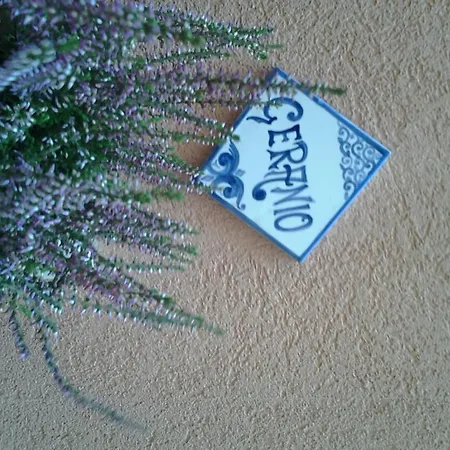 Il Cortile Fiorito